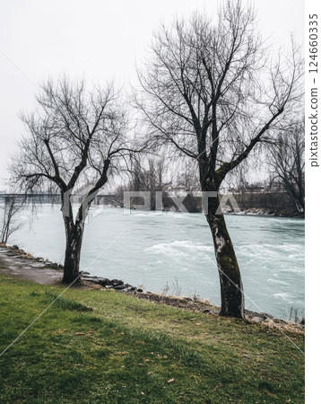 Two leafless trees stand by a swiftly flowing river on a misty day, with a bridge visible in the background, creating a moody early spring atmosphere 124660335