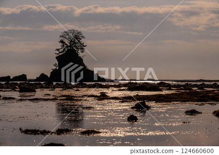 富山灣平靜的海浪和雨晴海岸的神奇早晨 | 富山縣高岡市 124660600