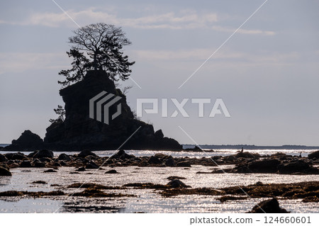 富山灣平靜的海浪和雨晴海岸的神奇早晨 | 富山縣高岡市 124660601