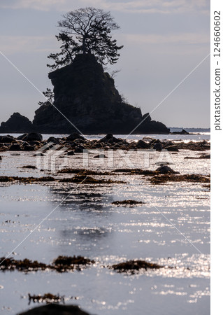 富山灣平靜的海浪和雨晴海岸的神奇早晨 | 富山縣高岡市 124660602