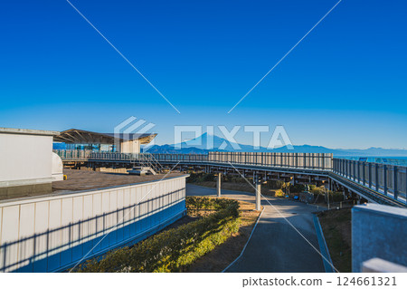 靜岡市（靜岡縣）冬日晴朗的早晨，從日本平夢露台觀景走廊望去的景色 124661321