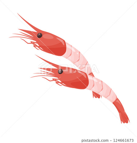 頭甜蝦生魚片的插圖素材 124661673
