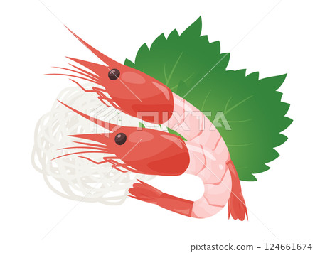 頭甜蝦生魚片插畫素材 124661674