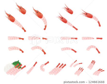Illustration material of sweet shrimp and red shrimp sashimi 124661688