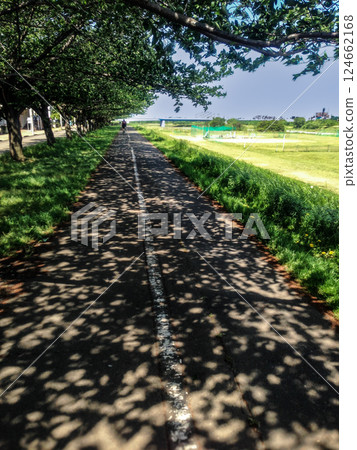 Summer green park scenery Summer green park scenery 124662168