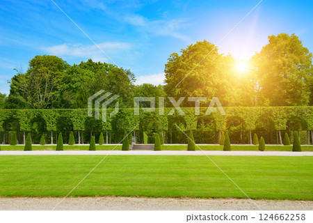 Bright sunrise in summer park with green lawn 124662258