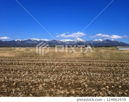 Spring rice fields and Yatsugatake Spring rice fields and Yatsugatake 124662639