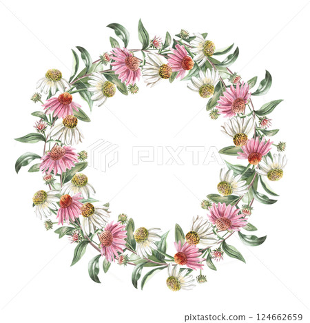 Round frame with pink and white echinacea flowers. Isolated watercolor illustration of garden flowers for design of cosmetic products, printing on posters, clothes. 124662659