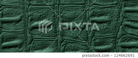 Crocodile skin, dark green leather texture background, closeup. Emerald reptile textile, macro. Crocodile skin, dark green leather texture background, closeup. Emerald reptile textile, macro. 124662691