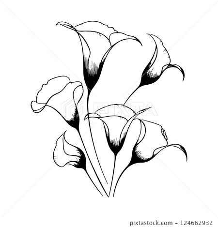 Floral Blossom Elements. Black-and-white contour illustrations of blooming flowers that add refinement to compositions. 124662932