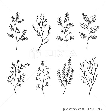 A collection of simple botanical illustrations with minimalistic leaves and floral elements. Ideal for modern logos, branding, packaging, and invitations. A collection of simple botanical illustrations with minimalistic leaves and floral elements. Ideal for modern logos, branding, packaging, and invitations. 124662939