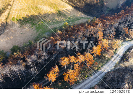 Wildfire devastating forest near cultivated fields in legarda, navarre, spain Wildfire devastating forest near cultivated fields in legarda, navarre, spain 124662978