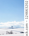 Biei Town, Hokkaido, snowy landscape of Biei Hill 124663202