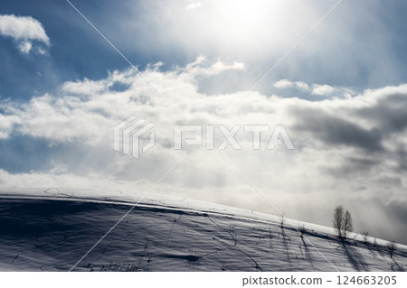 Biei Town, Hokkaido, snowy landscape of Biei Hill Biei Town, Hokkaido, snowy landscape of Biei Hill 124663205