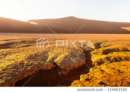 Lifeless landscape with dried ground and red sand in Namib desert Lifeless landscape with dried ground and red sand in Namib desert 124663588