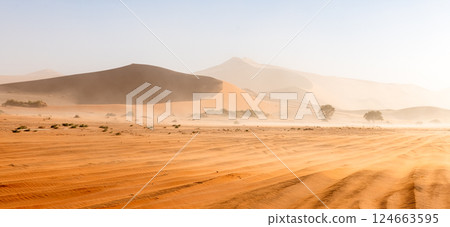 Panorama of the Namib desert with red sand dunes Panorama of the Namib desert with red sand dunes 124663595