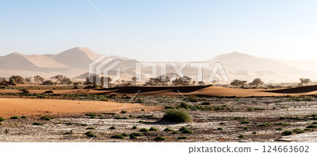 Sossusvlei valley in the Namib desert with high red sand dunes Sossusvlei valley in the Namib desert with high red sand dunes 124663602