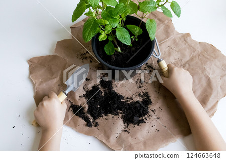 Child gardening with black pot, green plant, soil, trowel, and fork on brown paper Child gardening with black pot, green plant, soil, trowel, and fork on brown paper 124663648