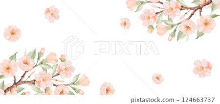Peach or Cherry Flowers watercolor banner, horizontal square Frame. Spring Blossoming Branches. Card template. Hand drawn watercolor illustration on a white background. Ideal for greeting cards and Peach or Cherry Flowers watercolor banner, horizontal square Frame. Spring Blossoming Branches. Card template. Hand drawn watercolor illustration on a white background. Ideal for greeting cards and 124663737
