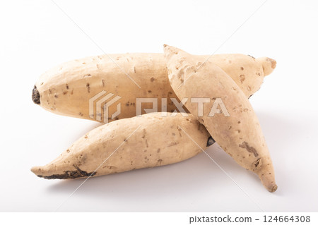 [Produced in Ibaraki Prefecture] Purple sweet potato (organic) 124664308