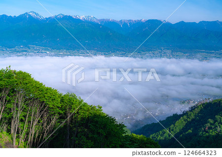 [Sea of clouds material] Sea of clouds in Azumino City in early summer seen from Mount Nagamine [Nagano Prefecture] 124664323