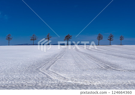 Spring on Fairy Tale Hill 124664360