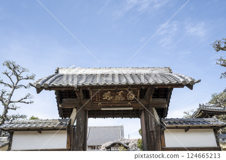 Koshaku-in Temple in Spring 124665213