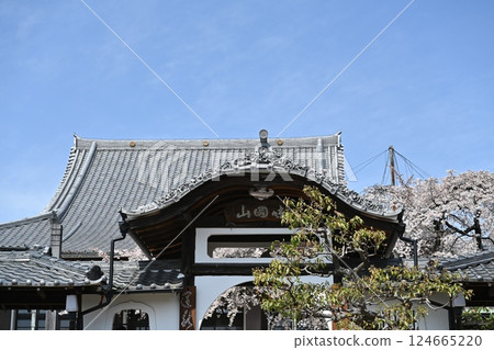 春天的紅積院 124665220