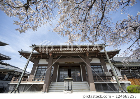 Koshaku-in Temple in Spring Koshaku-in Temple in Spring 124665253