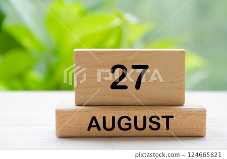August 27 text on wooden blocks with customizable space for text or ideas. August month and calendar concept. 124665821