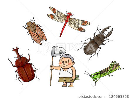 Boy and insects (beetle, cicada, red dragonfly, stag beetle, locust) 124665868