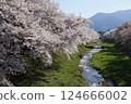 Kurosawa River 124666002