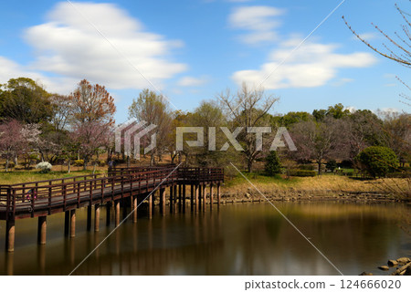 知多朝日公園鮮花盛開 124666020