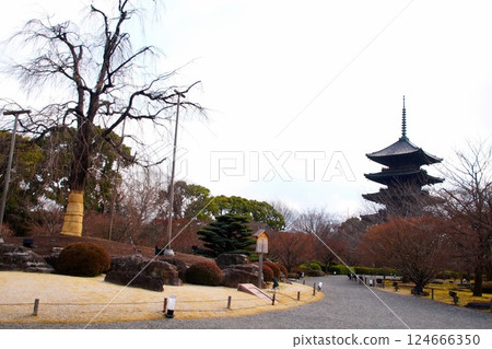 京都府東寺/五層塔(國寶)京都市南區九條町 2022 年 2 月 京都府東寺/五層塔(國寶)京都市南區九條町 2022 年 2 月 124666350