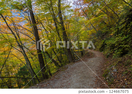 Autumn in Yamanashi City, Yamanashi Prefecture: Autumn leaves in Nishizawa Valley Autumn in Yamanashi City, Yamanashi Prefecture: Autumn leaves in Nishizawa Valley 124667075