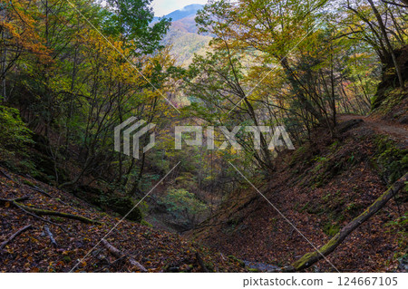 Autumn in Yamanashi City, Yamanashi Prefecture: Autumn leaves in Nishizawa Valley 124667105