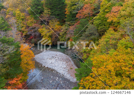 Autumn in Yamanashi City, Yamanashi Prefecture: Autumn leaves in Nishizawa Valley 124667146
