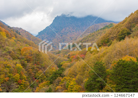 Autumn in Yamanashi City, Yamanashi Prefecture: Autumn leaves in Nishizawa Valley, Mount Keikan 124667147