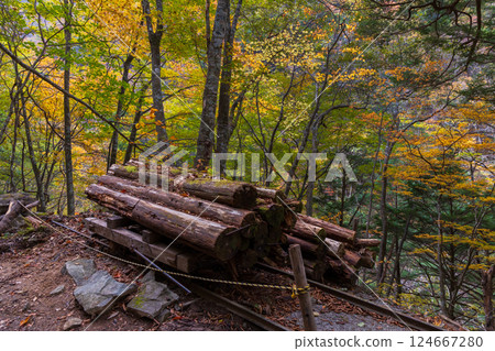 山梨縣山梨市的秋天 - 紅葉齊聚的西澤溪谷 - 森林鐵道遺址 山梨縣山梨市的秋天 - 紅葉齊聚的西澤溪谷 - 森林鐵道遺址 124667280