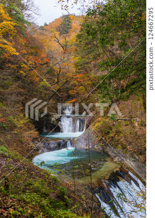 山梨縣山梨市的秋天:西澤溪谷的紅葉、七釜五段瀑布 山梨縣山梨市的秋天:西澤溪谷的紅葉、七釜五段瀑布 124667295