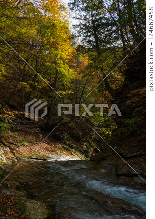 Autumn in Yamanashi City, Yamanashi Prefecture: Autumn leaves in Nishizawa Valley Autumn in Yamanashi City, Yamanashi Prefecture: Autumn leaves in Nishizawa Valley 124667458