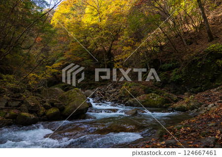 Autumn in Yamanashi City, Yamanashi Prefecture: Autumn leaves in Nishizawa Valley Autumn in Yamanashi City, Yamanashi Prefecture: Autumn leaves in Nishizawa Valley 124667461