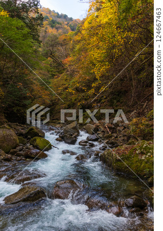 山梨縣山梨市的秋天：西澤溪谷的紅葉 124667463