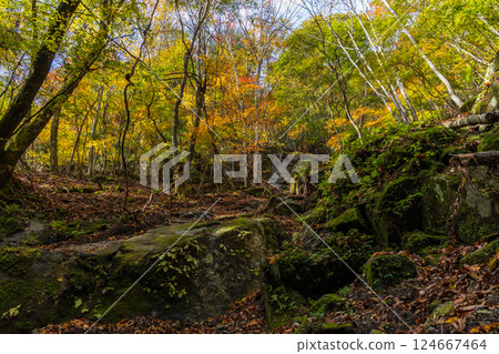 山梨縣山梨市的秋天：西澤溪谷的紅葉 124667464