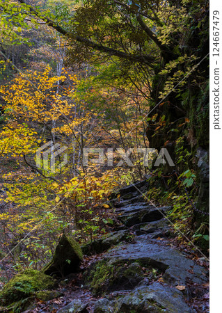 山梨縣山梨市的秋天:西澤溪谷的紅葉 山梨縣山梨市的秋天:西澤溪谷的紅葉 124667479