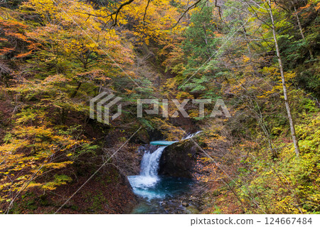 Autumn in Yamanashi, Yamanashi Prefecture: Nishizawa Valley with Autumn Leaves, Ryujin Falls 124667484