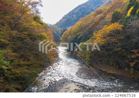 Autumn in Yamanashi City, Yamanashi Prefecture: Autumn leaves in Nishizawa Valley Autumn in Yamanashi City, Yamanashi Prefecture: Autumn leaves in Nishizawa Valley 124667516