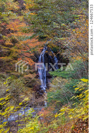 Autumn in Yamanashi, Yamanashi Prefecture: Autumn leaves in Nishizawa Valley, Okubo Falls 124667533