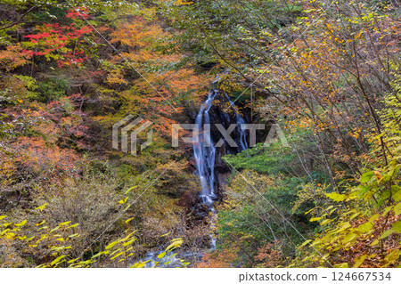 山梨縣山梨縣的秋天：西澤溪谷的紅葉、大久保瀑布 124667534