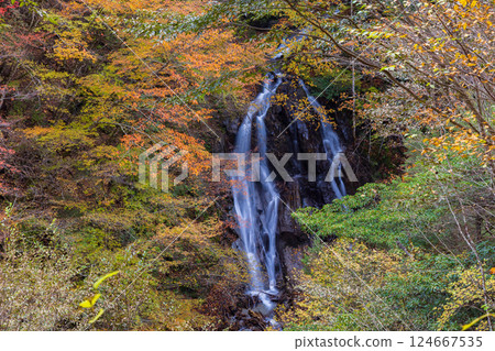 山梨縣山梨縣的秋天:西澤溪谷的紅葉、大久保瀑布 山梨縣山梨縣的秋天:西澤溪谷的紅葉、大久保瀑布 124667535